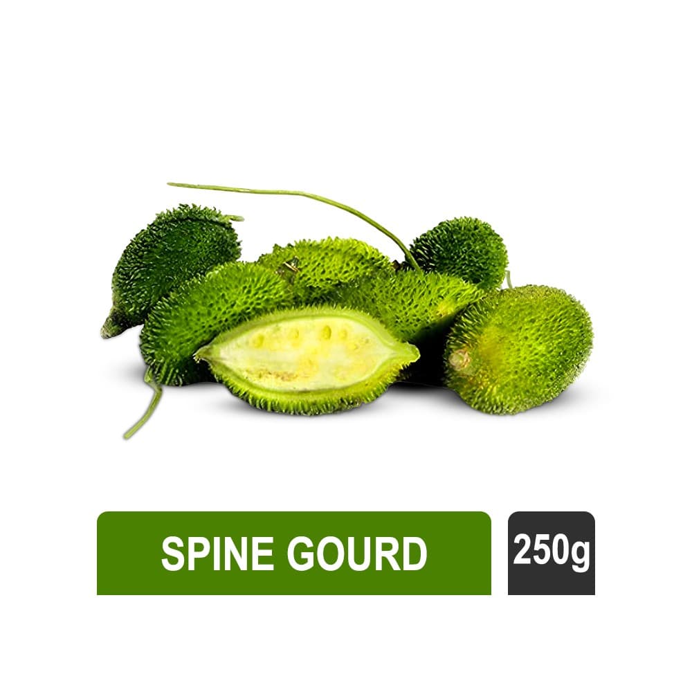 Spine Gourd (कंटोला)
