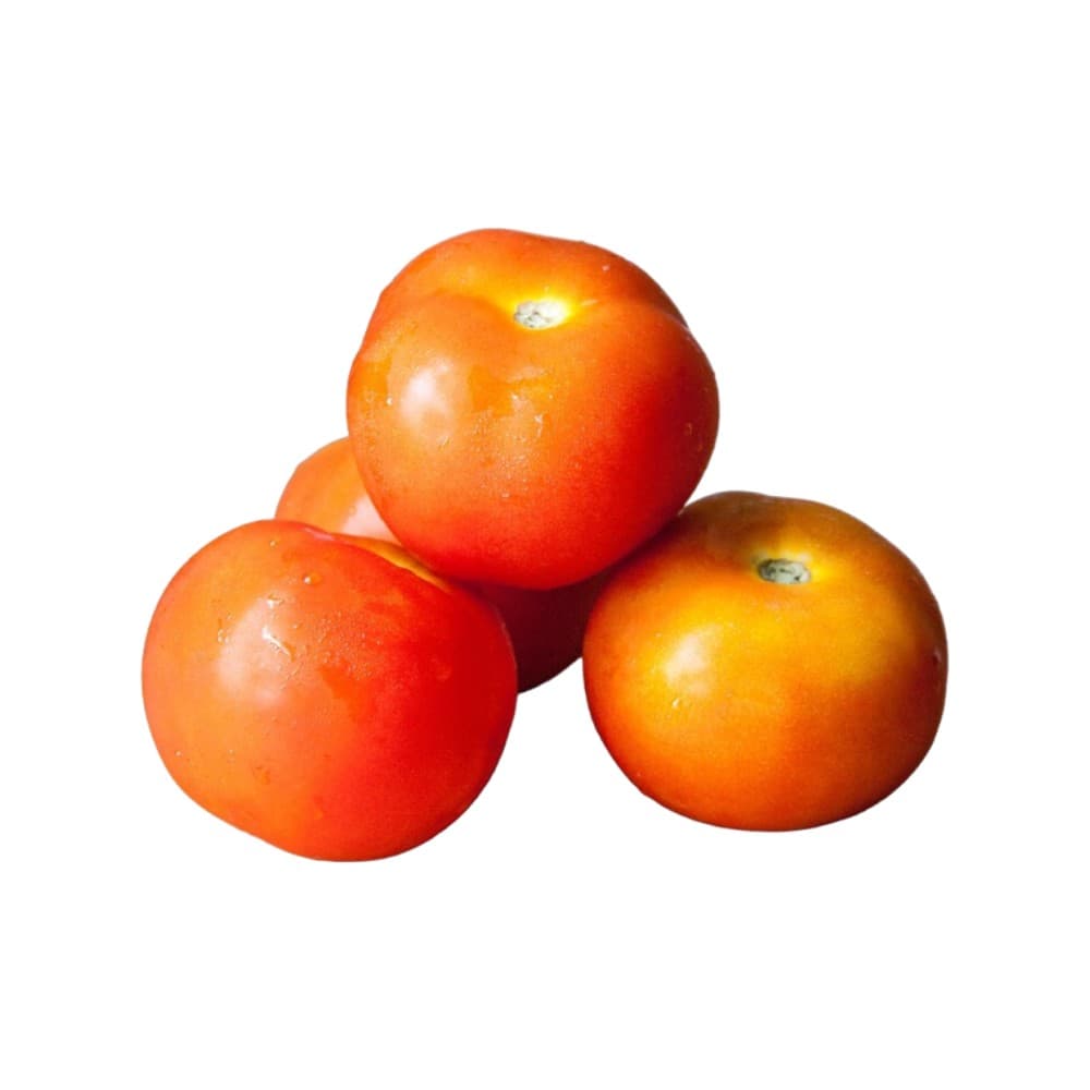 Tomato (टमाटर)