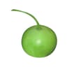 Round Bottle Gourd (गोल लौकी) 2