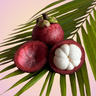 Mangosteen Organic 5